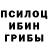 Псилоцибиновые грибы Psilocybine cubensis Epic_Alan