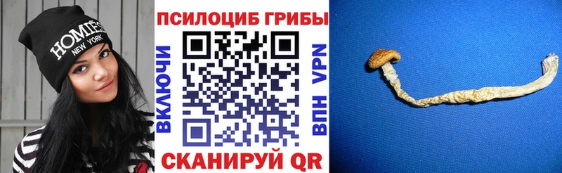 Галлюциногенные грибы мухоморы  hydra tor  Ивангород 