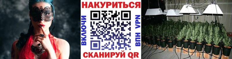 Конопля MAZAR  Ивангород 